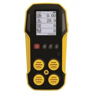 Detector de Gases (CO, H2S, O2, CH4, LEL) Com Datalogger | PYROMED®